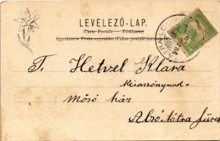 1902 Tátralomnic, Tatranská Lomnica (Tátra, Magas-Tátra, Vysoké Tatry); látkép. Feitzinger Ede 1902-...