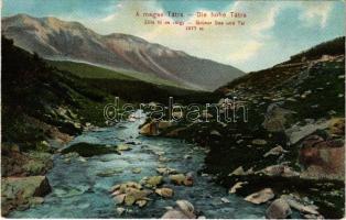 Tátra, Magas-Tátra, Vysoké Tatry; Zöld-tó és völgy. Dr. Trenkler Co. 1906. Tát. 43. / Grüner See und Tal / lake, valley