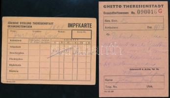 1945 Theresienstadt Getto oltási és egészségügyi kártya