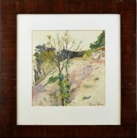 Diner Dénes jelzéssel: Fák. Akvarell, papír. Sérült üvegezett fakeretben. 41x32cm