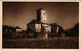Zsolna, Sillein, Zilina; Budatin vár / Budatínsky hrad / castle (EK)