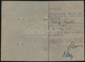 cca 1944 Magyarországi Zsidók Szövetsége Ideiglenes Intézőbizottságának fényképes igazolványa sárga ...