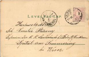 1899 (Vorläufer) Lillafüred (Miskolc), Szálloda és étterem, Tó csónakázókkal, vízesés, új kocsi út a...