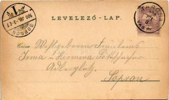 1900 Tarcsa, Tatzmannsdorf; Miksa-forrás, Gyógytér és Károly-forrás, Gyógyudvar, Forrás épület, Mári...