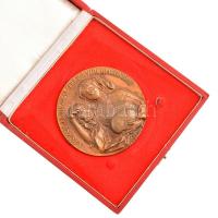 Bajnok Béla (1937-) DN "A közös munkával telt évek emlékére" Br emlékplakett (96mm) díszdo...