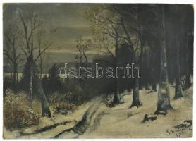 Schneider 1913 jelzéssel: Téi havas erdő. Olaj, vászon, kartonra kasírozva. sarkaiban kissé sérült. 26x37,5 cm