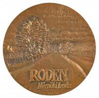 2006. Roden Mérnöki Iroda, Az alapítás 15. évfordulója alkalmából - Alapítva 1991 Br plakett (96mm) T:1 peremén egy apró sérülés