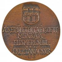 DN "A kerületért végzett munkája elismeréséül. I. Kerületi Tanács VB." kétoldalas Br emlék...