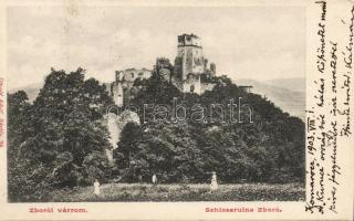 Zboró castle ruins