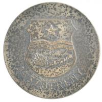 DN Jászberény ezüstözött Br emlékérem (70mm) előlapján a város szocialista címere T:2 patina