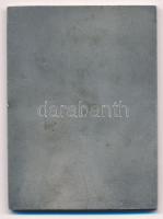 DN "A Heves Megyei Állami Építőipari Vállalatnál végzett munkáért, 10" ezüstözött Br plake...