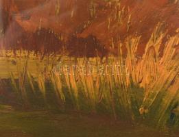 Hévizi Éva (1946-): Rét. Olaj, farost. Jelzett. Hátoldalán autográf felirattal és Képcsarnok Vállala...