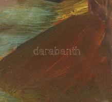 Hévizi Éva (1946-): Rét. Olaj, farost. Jelzett. Hátoldalán autográf felirattal és Képcsarnok Vállala...