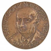 1972. Dr. Békésy György Nobel-díjas fizikus 1899-1972 / Kiemelkedő kutatómunkáért - Posta Kísérleti Intézet Br emlékérem (90mm) T:1-