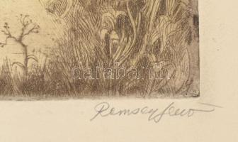 Remsey Jenő (1885-1980): Erdőszéle. Színezett rézkarc, papír, jelzett, bal felső sarka foltos, fa ke...