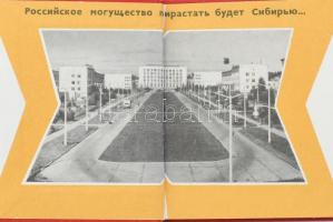 Szuvenír Novoszibirszkből: mappa szibériai képeslapokkal, könyvekkel, tollal, telefonkönyvvel, jelvé...