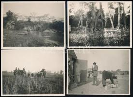 cca 1920 Elefántok a Távol-Keleten, 4 db fotó, 7,5×10,5 cm