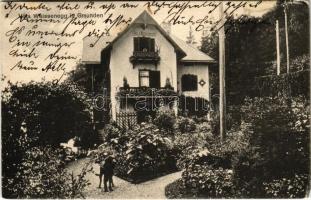 1907 Gmunden, VVilla Weissenegg (EK)