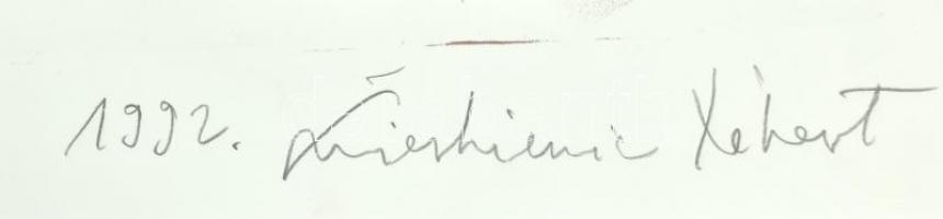 Swierkiewicz Róbert (1942-2019): Remete vagyok, 1992. Litográfia, papír. Jelzett. Számozott: 27/27. ...