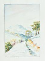 Olvashatatlan jelzéssel: Am Hammersdörfer Berg. akvarell, papír. Jelzett. 31x21 cm