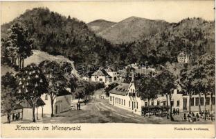 Kronstein im Wienerwald (Sieghartskirchen), general view