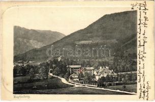 1905 Kapfenberg (Steiermark), general view (EK)