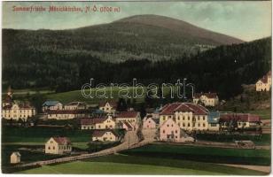 1916 Mönichkirchen, Sommerfrische, Hotel Lang / general view, hotel (EK)