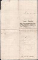 1867 Gyula Összeges kimutatás betegek- és elme.kórosokról kik a Gyulán fekvő békésmegyei kórházban 1...