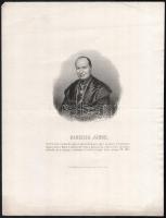 1860 Danielik János (1817-1888) bölcsészdoktor, pristinai püspök és egri kanonok, sajószentpéteri címzetes prépost, kőnyomatos portré . Lapméret 25x33 cm