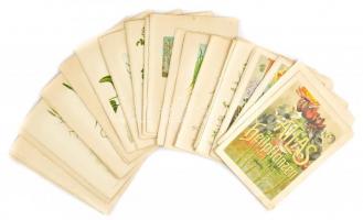 Atlas der Heilpflanzen 55 db feliratozott litográfia növényekről 21x30 cm