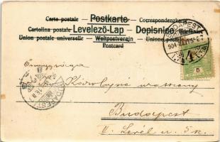 1904 Budapest, Buda látképe a Lánchídfőtől. litho (EK)