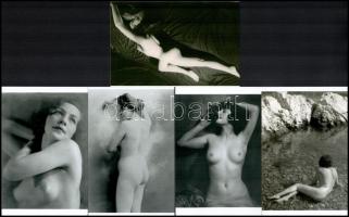 cca 1930 előtt készült akt felvételek, a női test esztétikája, 5 db mai nagyítás, 15x10 cm