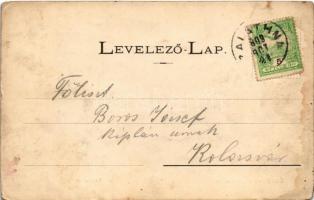 1909 Zalatna, Zlatna; Kohótelep. Nagy Lajos kiadása / smelter (fl)