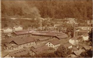 Anina, Stájerlakanina, Stájerlak, Steierdorf; vasgyár / Eisenwerk / ironworks, factory. photo (vágott / cut)