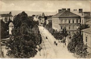 1916 Nagyszeben, Hermannstadt, Sibiu; Schewis utca. Kunstanstalt Jos. Drotleff Nr. 16. / Schewisgasse / Strada Schewis / street view (EK)