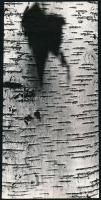 1968 Bieder Géza győri fotóművész feliratozott, vintage fotóművészeti alkotása (Fafelület), a kép a Salgótarjánban megrendezett, nyári fotóművészeti alkotótelepen készült, 24x11,5 cm