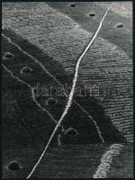 1971 Bardócz Emília jelzés és cím nélküli, vintage fotóművészeti alkotása, a kép a Győrben megrendezett, nyári fotóművészeti alkotótelepen készült, 23x17,2 cm