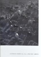 Magyar fényképezés. Hungarian Photography. Photographie Hongroise. Das Ungarische Lichtbild. 1939. E...