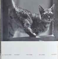 Magyar fényképezés. Hungarian Photography. Photographie Hongroise. Das Ungarische Lichtbild. 1939. E...