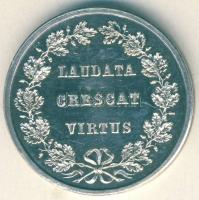 Német Birodalom/Császárság cca 1800-as évek vége "Gymnasium Cannstatt" Ag zseton 5,5g T:P