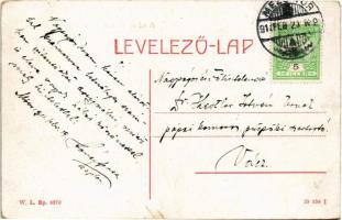 1911 Mezőtúr, látkép. W.L. Bp. 6370. (EB)