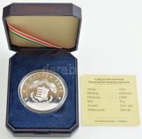 DN "A magyar pénz krónikája - Boszorkányok márpedig nincsenek" Ag emlékérem, tanúsítvánnya...