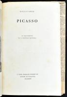 Kállai Ernő: Picasso. Bp.,1948, Új Idők (Singer és Wolfner),(Hungária-ny.), 173+2 p. Fekete-fehér és 3 színes képpel illusztrált. Kiadói félvászon-kötés, kopott borítóval, foltos lapokkal.
