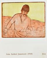 Varga Nándor Lajos: A fametszet. Könyv a fametszet mesterségéről és történetéről, közel 200 képpel (...