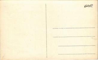 Miskolc, Díszelnökének Gaál Mózesnek a legmagyarabb és legnagyobb mesemondónak, a magyar tanárság bü...