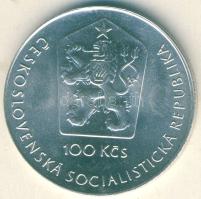 Csehszlovákia 1981. 100K Ag "Űrutazás 20. évfordulója" T:1/2