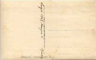 1922 Lugos, Lugoj; kirándulók kutyákkal / hiking family with dogs. photo