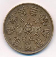 Csucs Viktória (1934-) 1979. "Magyar Éremgyűjtők Egyesülete 1969-1979" kétoldalas bronz em...