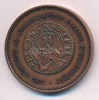 2000. MÉE köszönti az Államalapítás ezredik évfordulóját bronz naptárérem (42,5mm) T:1-  Adamo BP50