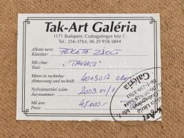 Fekete Zsolt (1964-): Tavasz. Olaj, farost, jelzett, fa keretben. Hátoldalán Tak-Art Galéria címkéjé...